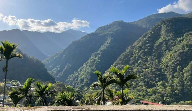 揭示馬崙山的高山草原魅力：生物多樣性與自然奇觀