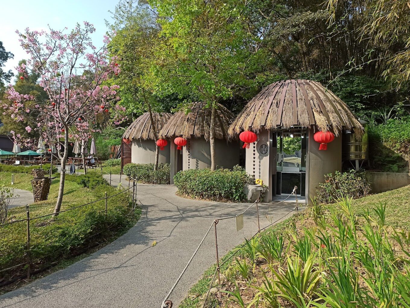 桃園爬山：桃園最佳登山步道推薦及指南