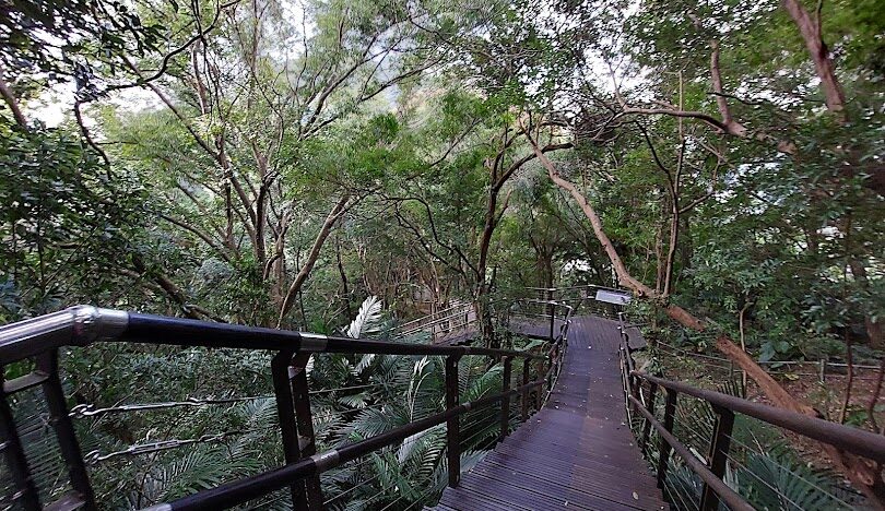 桃園爬山：桃園最佳登山步道推薦及指南