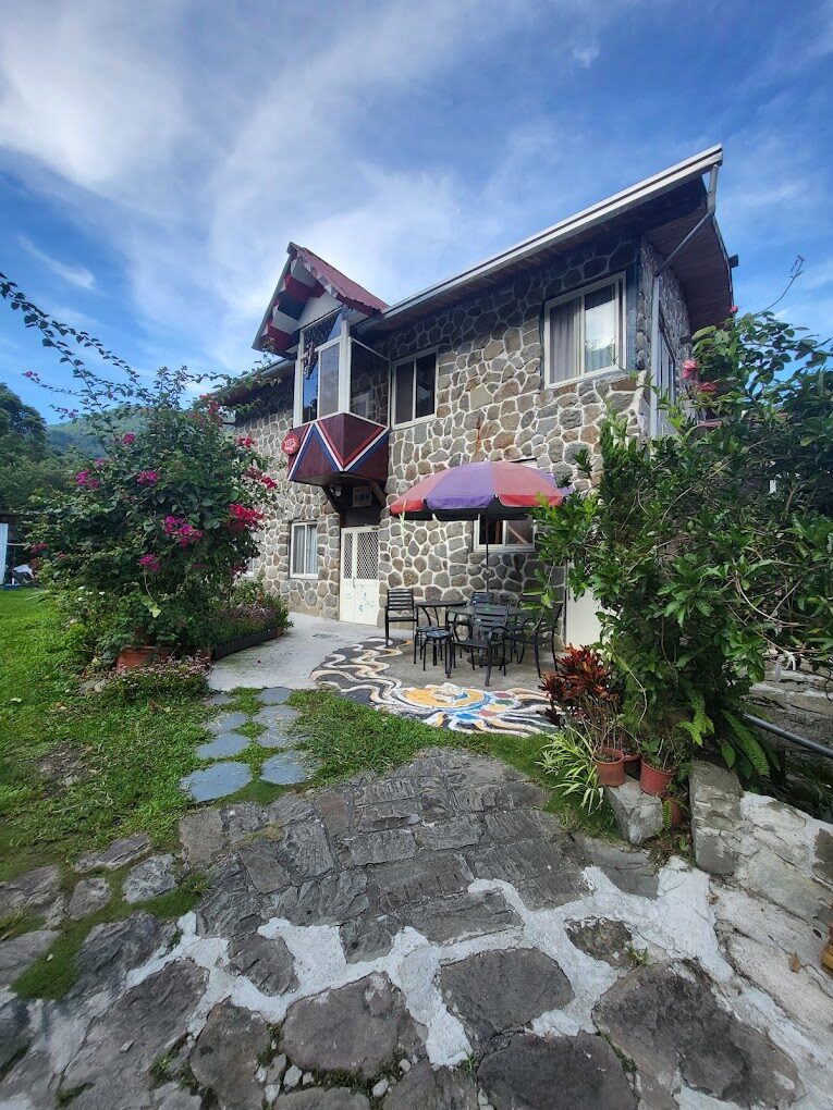 嘉義阿里山旅行必知攻略:最佳觀賞櫻花與楓葉的季節