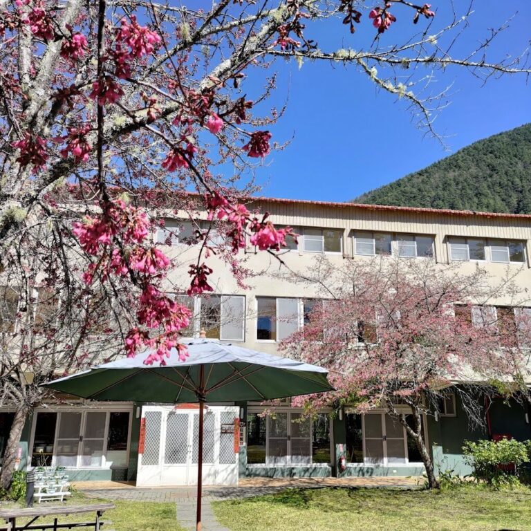 武陵農場賞楓最佳時間與路線規劃