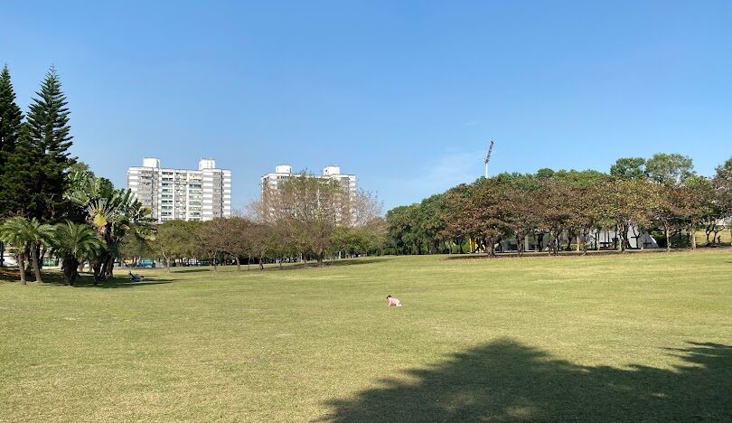 新莊一日遊行程規劃：最佳路線與景點介紹