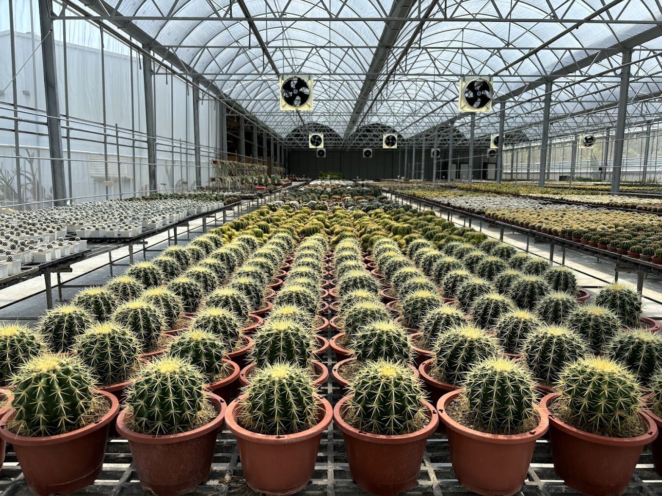 彰化田尾網美打卡熱點:最新景點與拍照技巧