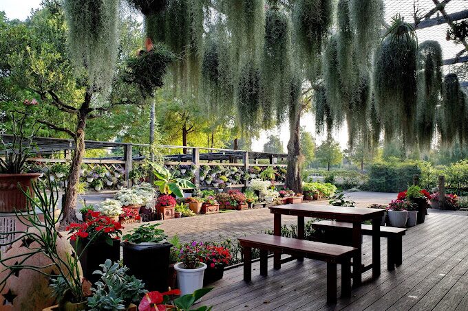 彰化田尾網美打卡熱點:最新景點與拍照技巧