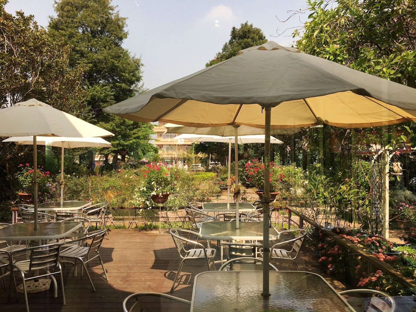 彰化田尾網美打卡熱點:最新景點與拍照技巧