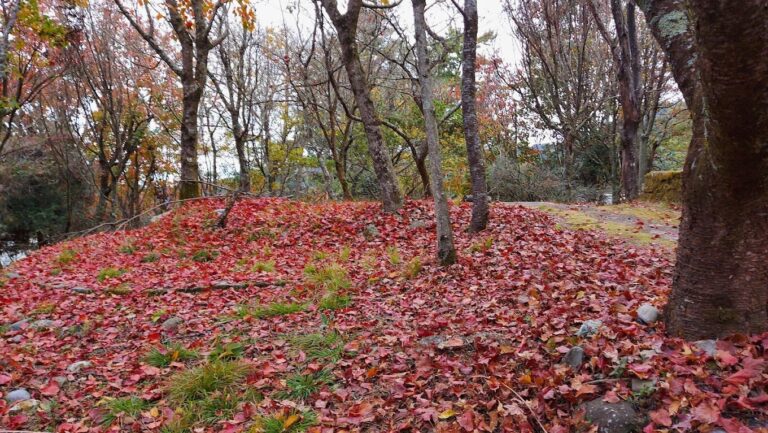 大雪山森林遊樂區交通指南