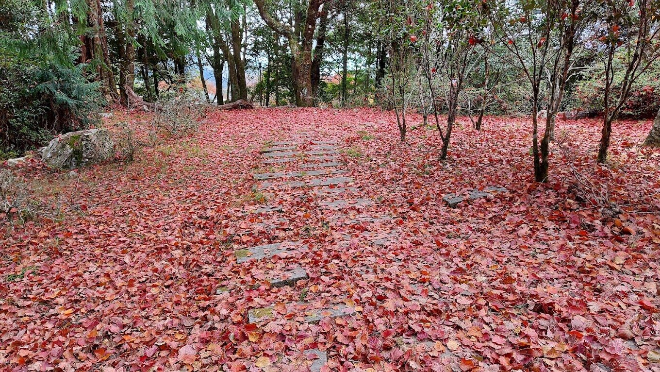 大雪山森林遊樂區交通指南