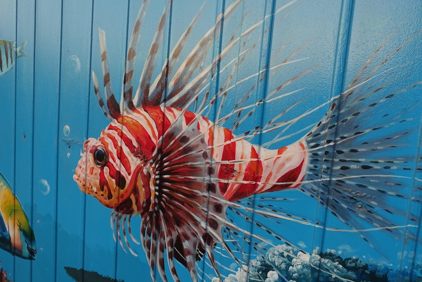 新莊約會好去處：浪漫景點與活動推薦