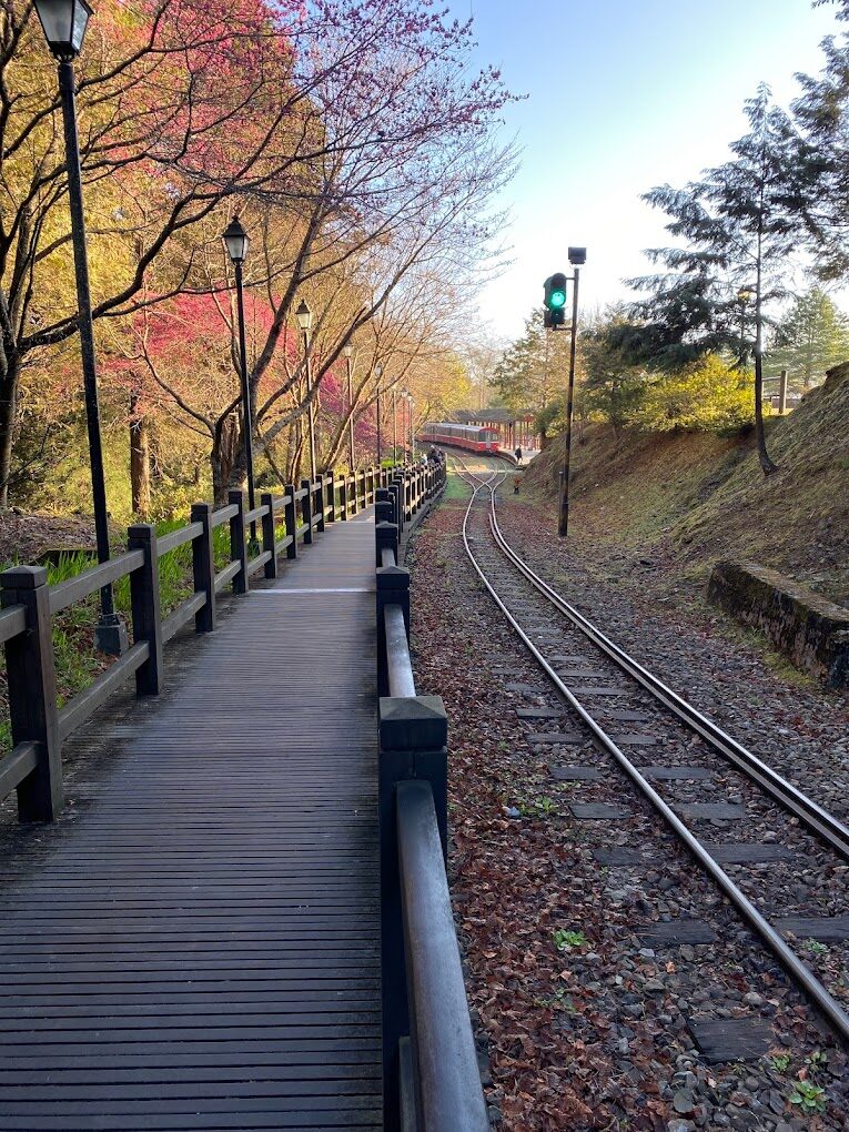 阿里山旅遊攻略：必訪景點與行程規劃