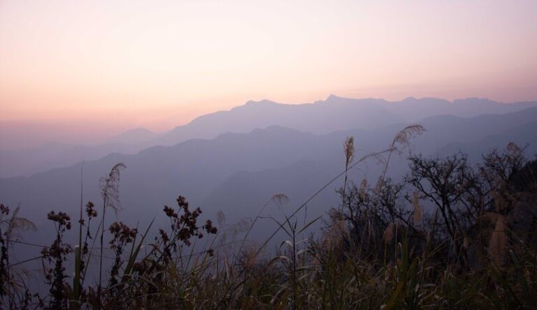 搭乘阿里山小火車賞日出：祝山線最佳觀景體驗
