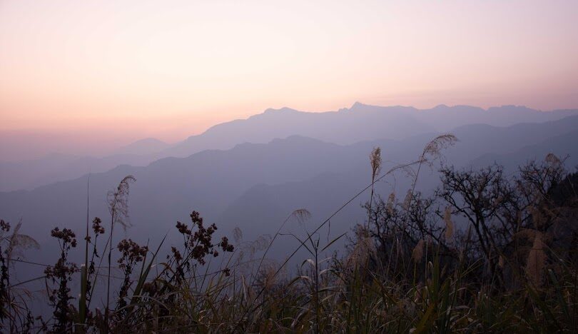 搭乘阿里山小火車賞日出：祝山線最佳觀景體驗