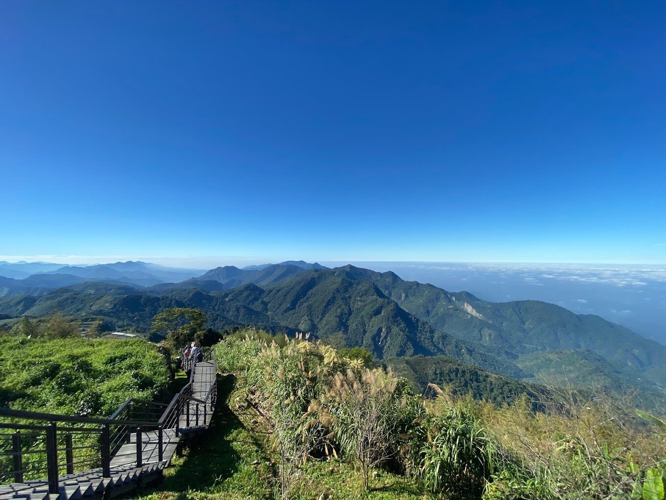 阿里山旅遊攻略：必訪景點與行程規劃