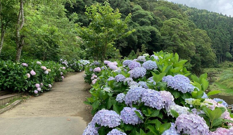 杉林溪旅遊攻略：必訪景點與行程規劃