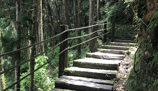 杉林溪旅遊攻略：必訪景點與行程規劃