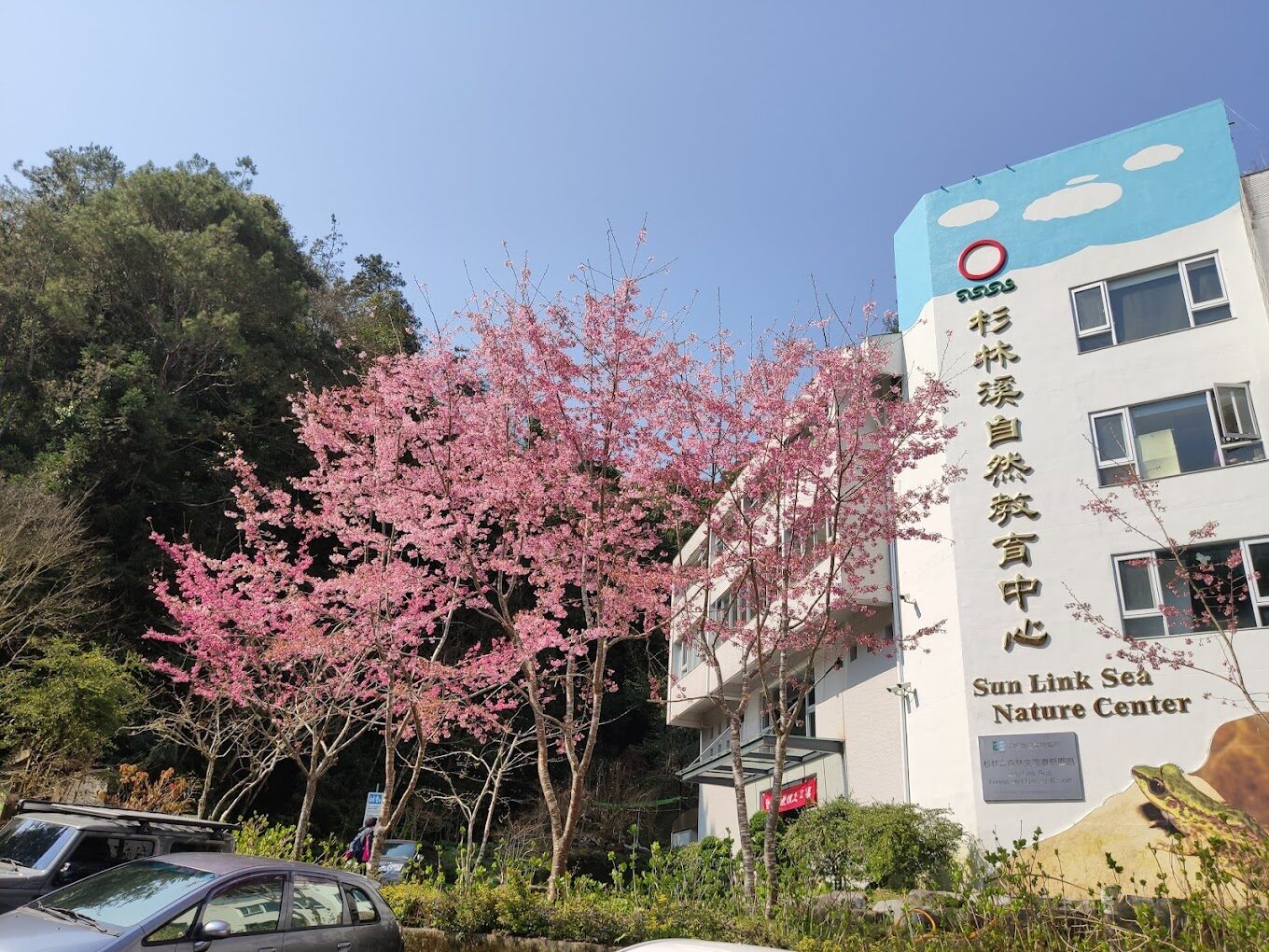 杉林溪旅遊攻略：必訪景點與行程規劃
