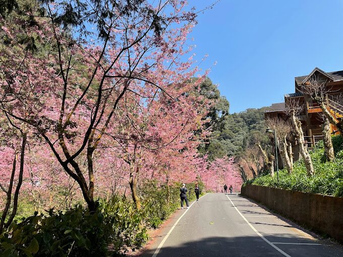 杉林溪旅遊攻略：必訪景點與行程規劃