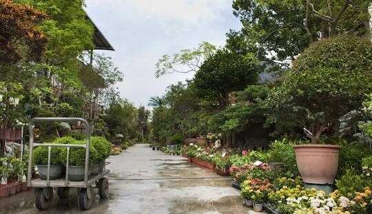 田尾景點懶人包：不可錯過的花園與景觀餐廳