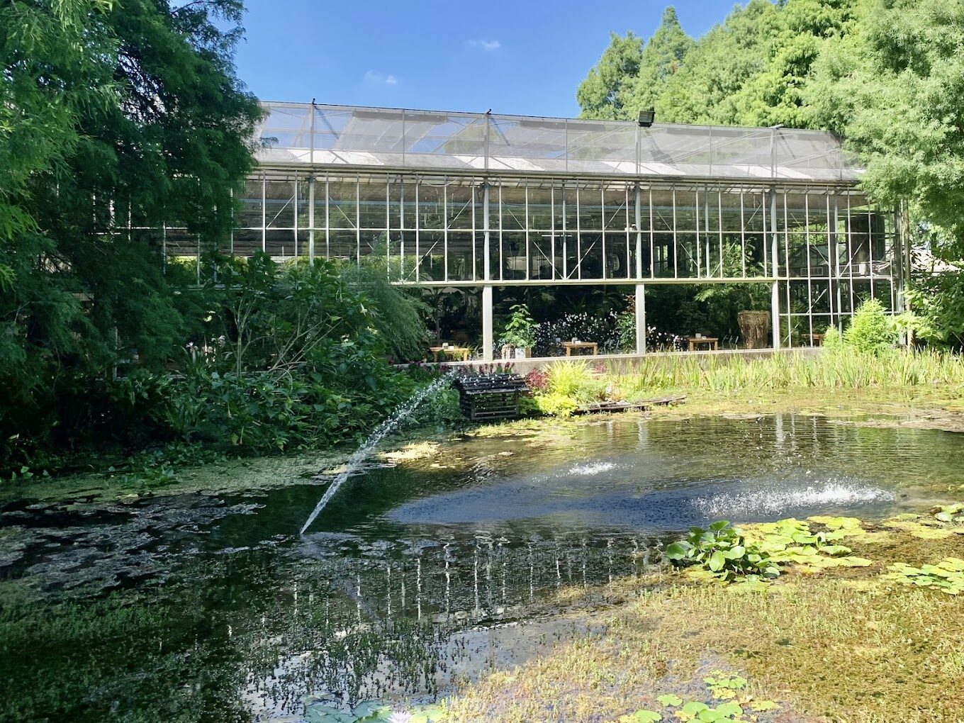 田尾景點懶人包：不可錯過的花園與景觀餐廳