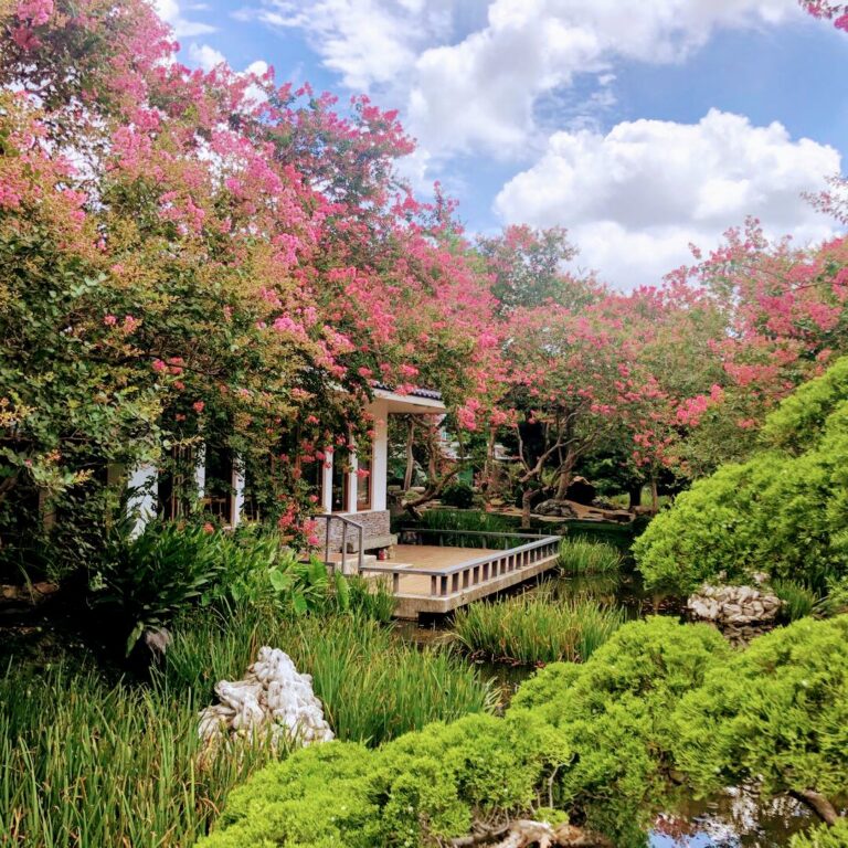 田尾景點懶人包:不可錯過的花園與景觀餐廳