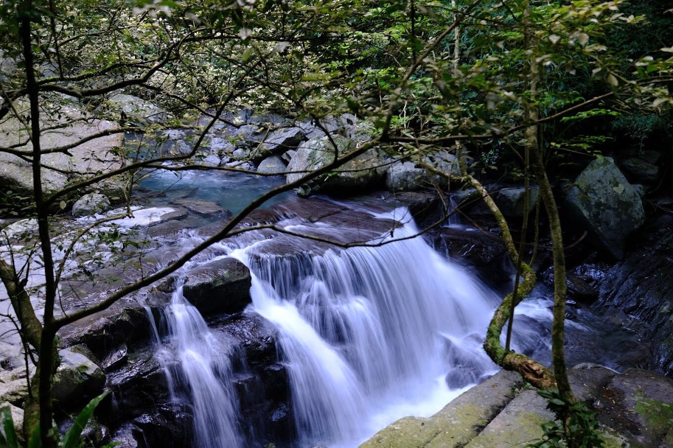 滿月圓國家森林遊樂區交通指南：如何前往這片自然天堂
