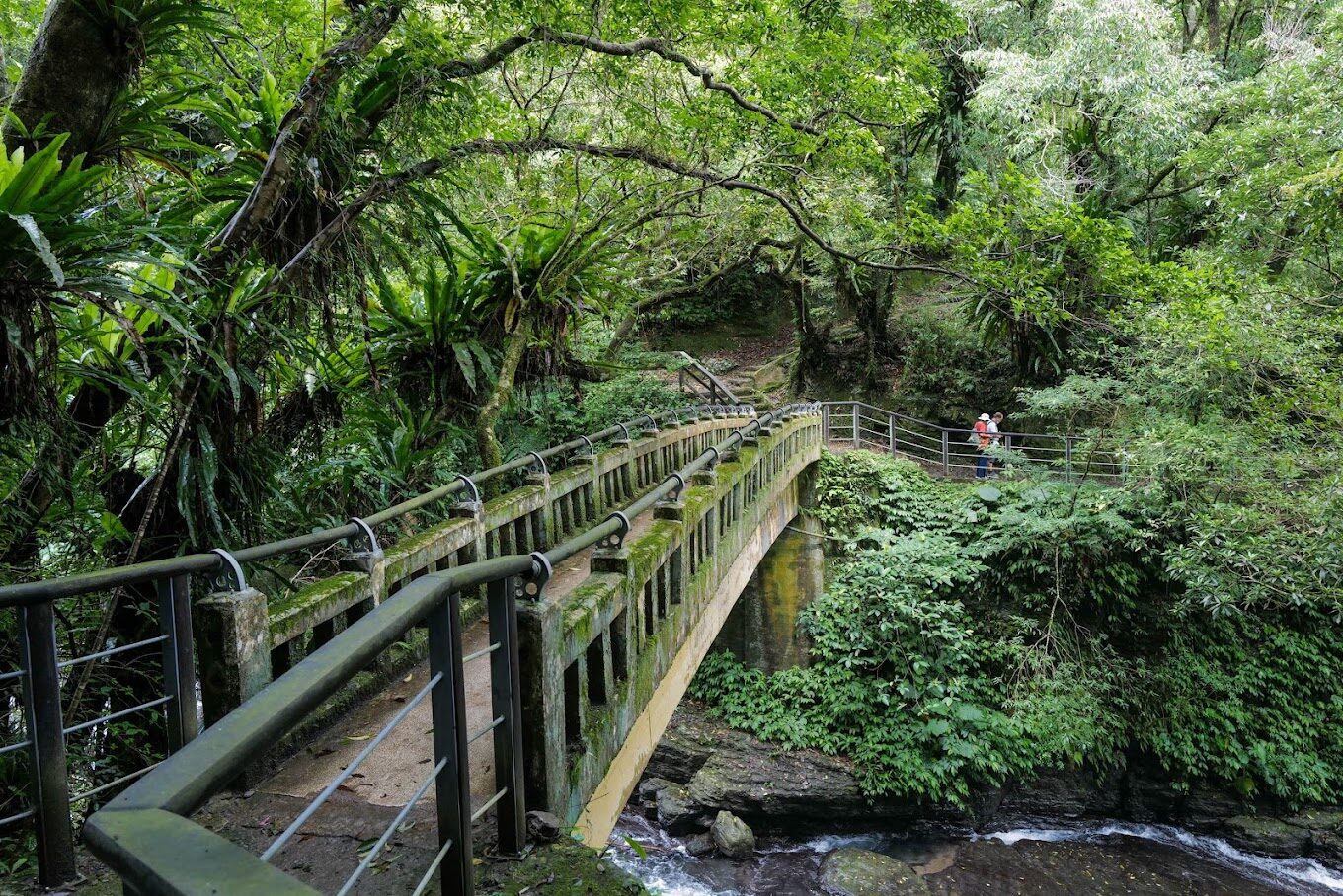 滿月圓國家森林遊樂區交通指南：如何前往這片自然天堂
