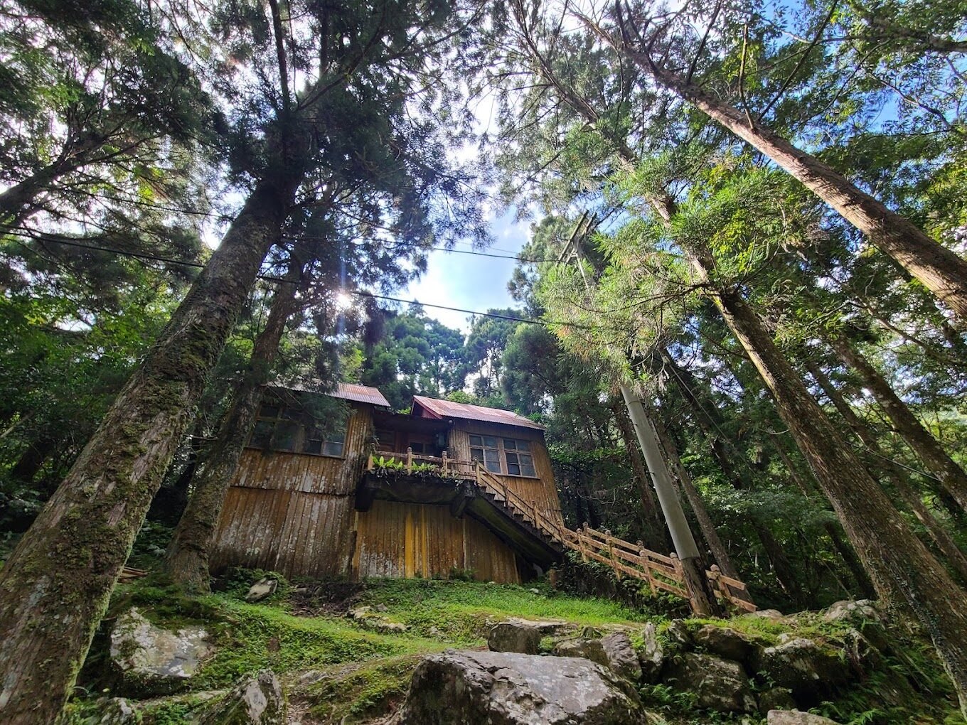 滿月圓國家森林遊樂區交通指南：如何前往這片自然天堂