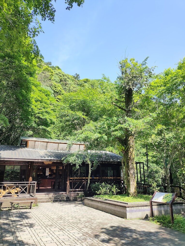 滿月圓國家森林遊樂區交通指南：如何前往這片自然天堂