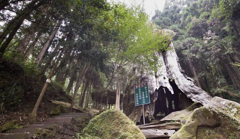 杉林溪交通指南:自駕與大眾運輸路線詳解