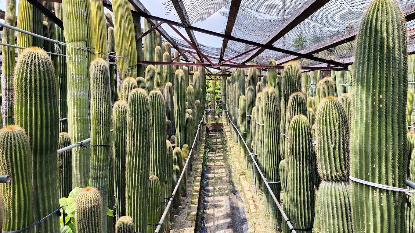 彰化秘境大公開：田尾鄉的隱藏美景與拍照景點