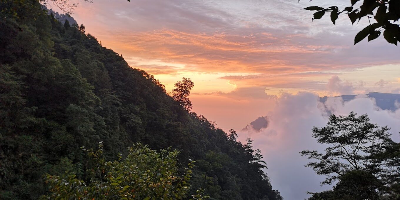 杉林溪賞螢秘境：夜間生態體驗全攻略