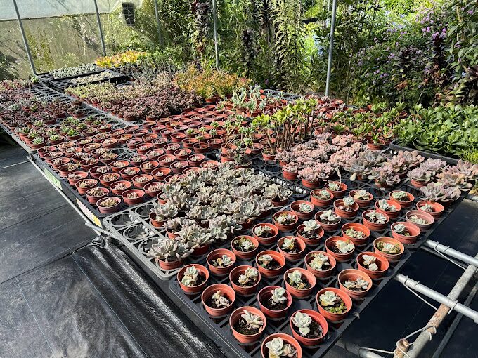 埔里必訪景點推薦：探索南投小鎮的魅力