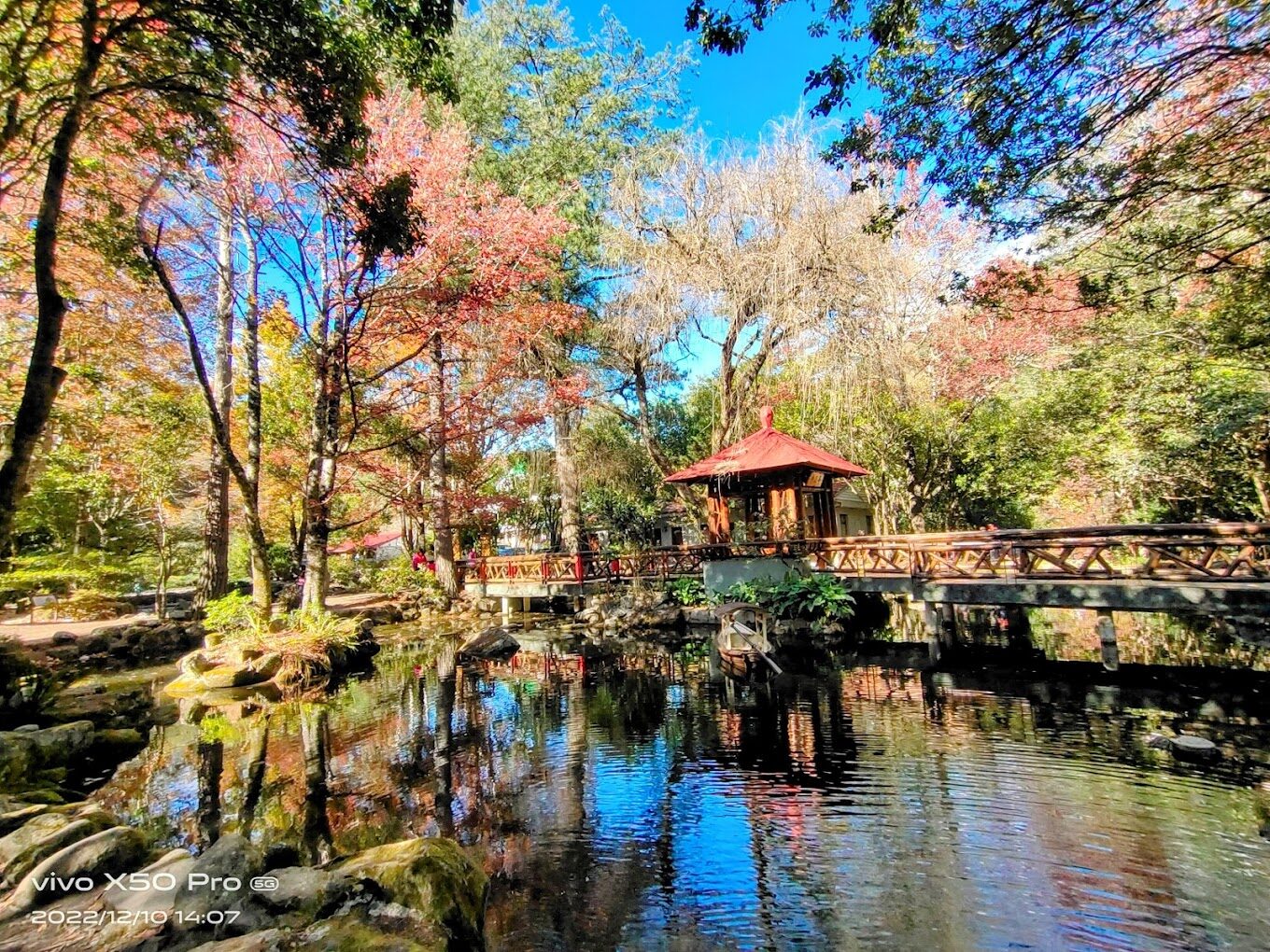 台灣賞楓景點推薦：必訪的十大秘境