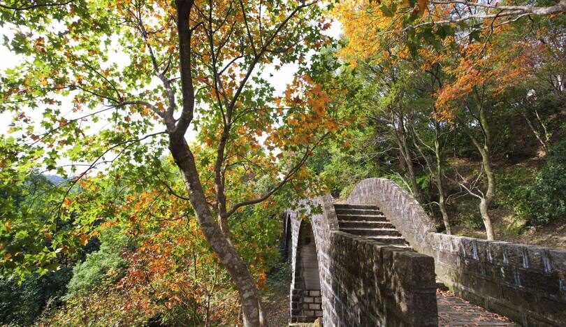 台灣賞楓景點推薦：必訪的十大秘境