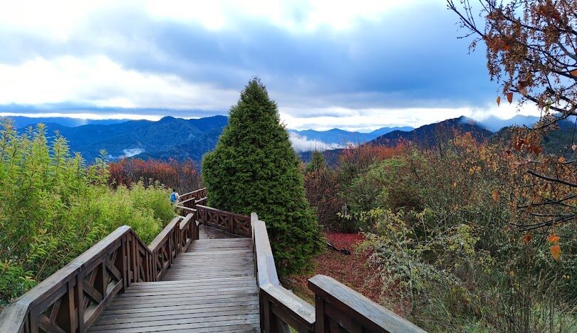 台灣賞楓景點推薦：必訪的十大秘境