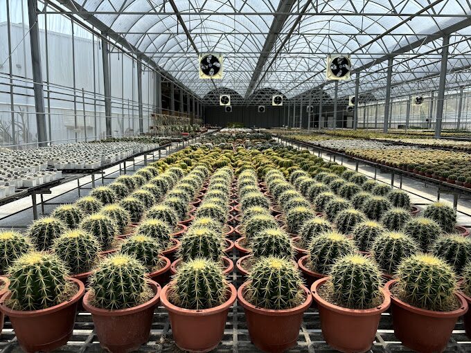 彰化田尾一日遊攻略：必訪景點與美食推薦