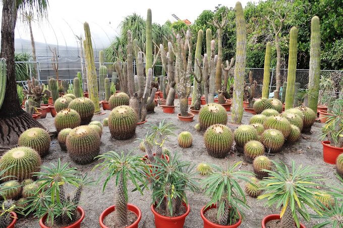 彰化田尾一日遊攻略：必訪景點與美食推薦