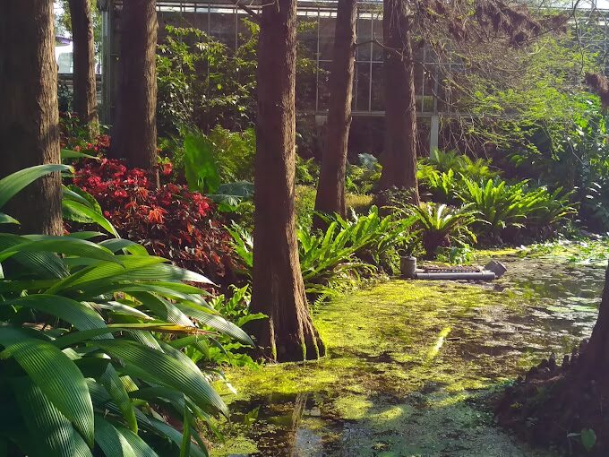 彰化田尾一日遊攻略：必訪景點與美食推薦