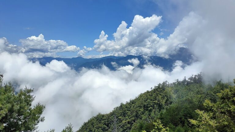 大雪山森林遊樂區步道推薦