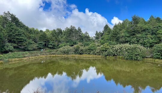 大雪山森林遊樂區步道推薦