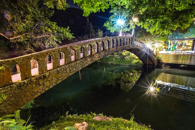 探訪杉林溪：南投森林中的綠色天堂