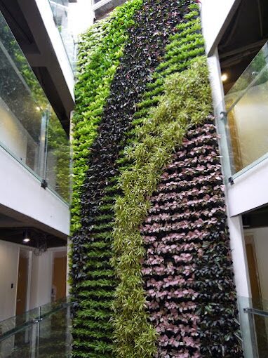 葉綠宿環保住宿方案：最佳綠色酒店推薦