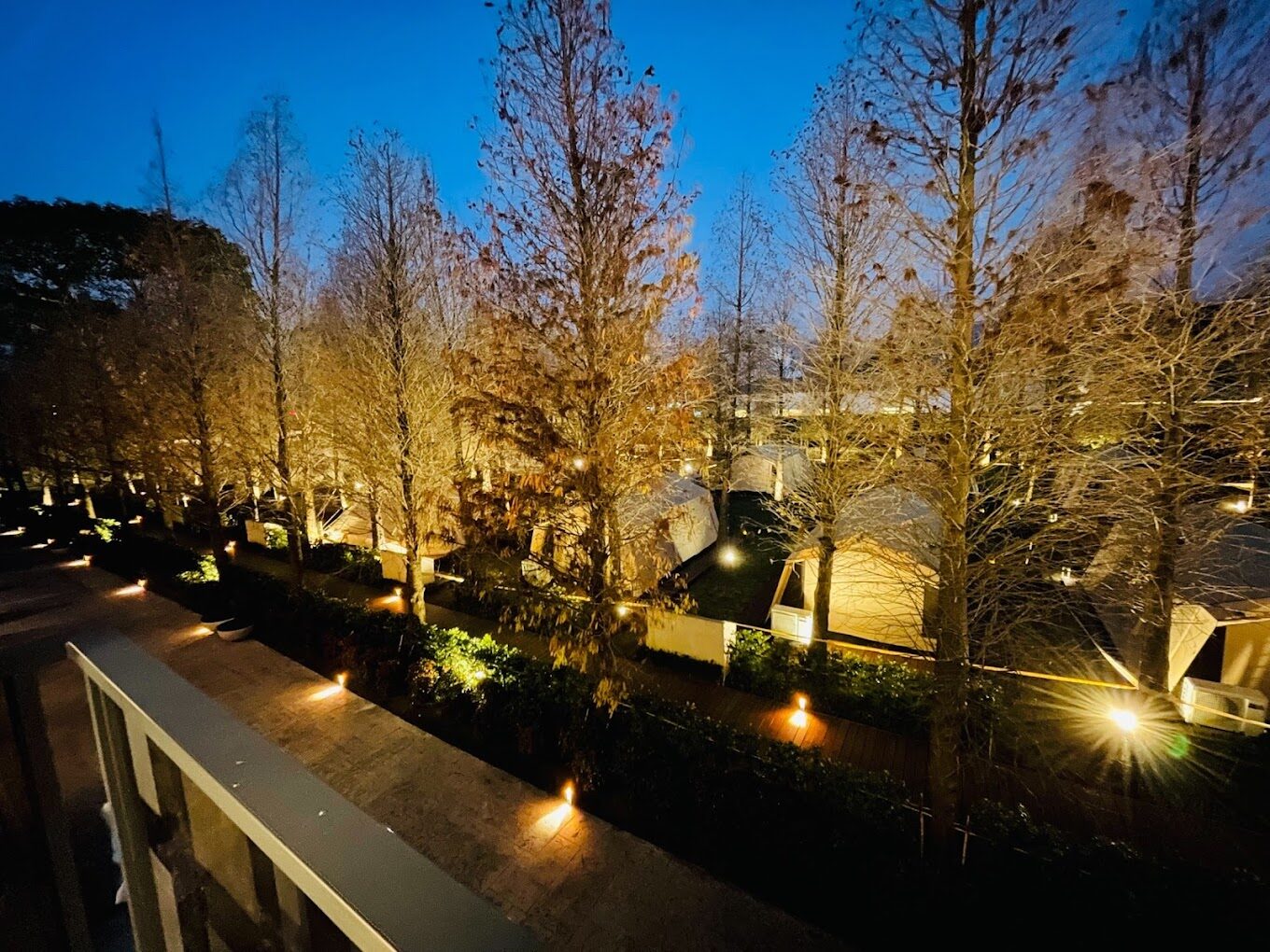 台灣最佳生態旅遊景點推薦：探索水與松森林莊園的自然奇觀