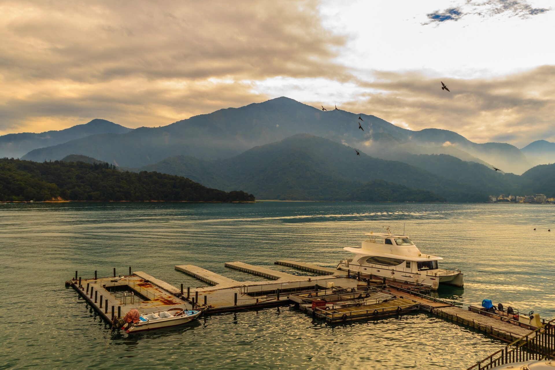 台灣最佳生態旅遊景點推薦：探索水與松森林莊園的自然奇觀