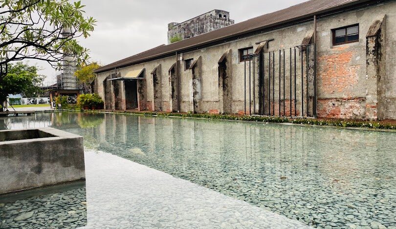 宜蘭落羽松最佳觀賞季節：什麼時候最美？