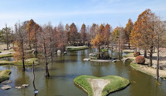 雲林落羽松最佳觀賞時間和地點指南
