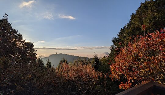 小笠原山觀景台最佳季節：何時造訪最合適？