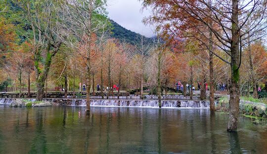 探訪宜蘭三層坪：最美瀑布與步道全攻略