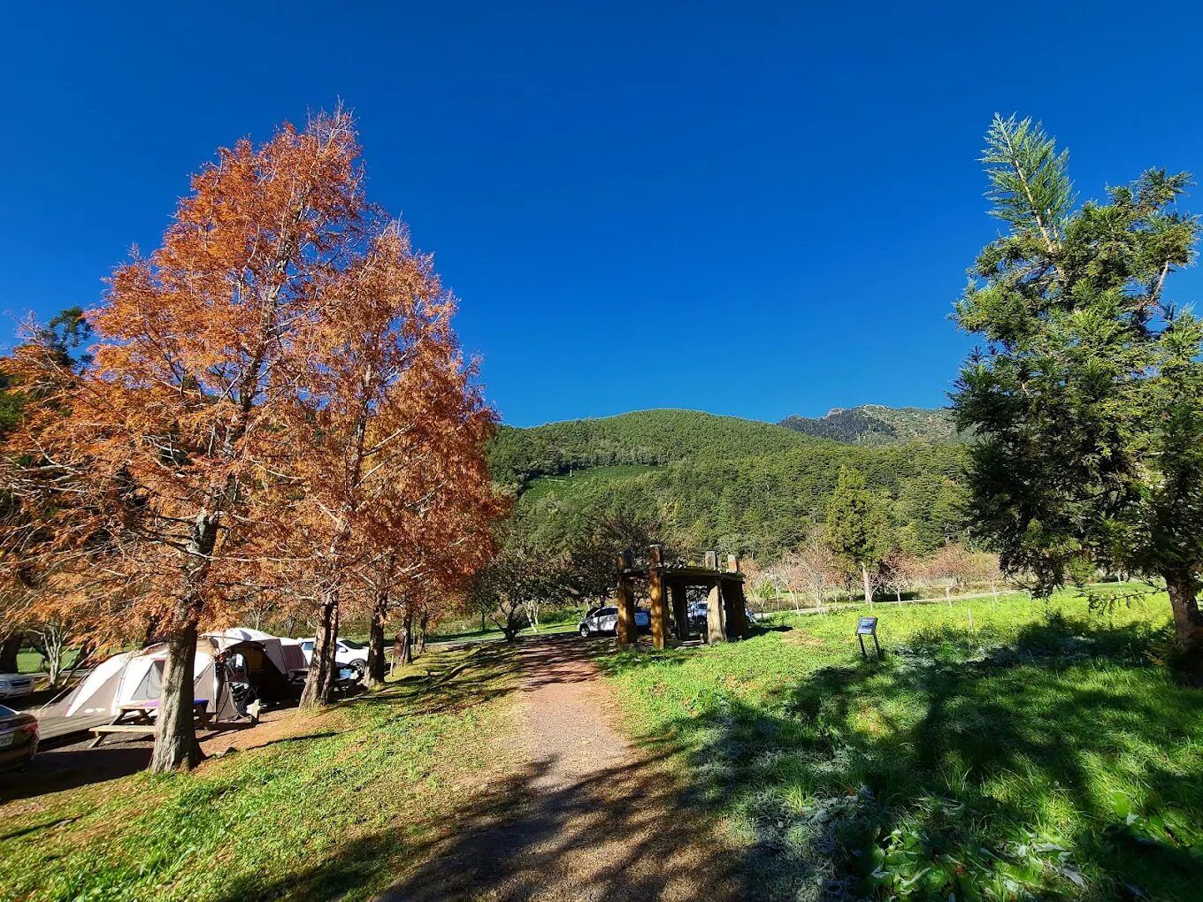 何時前往雪霸國家公園?最佳季節與氣候指南