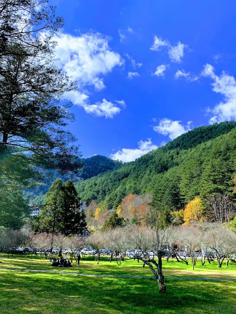 何時前往雪霸國家公園?最佳季節與氣候指南