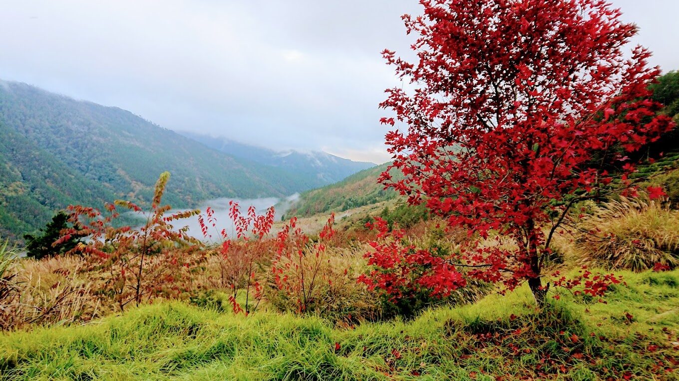 雪山登山口：雪山最佳登山季節，何時出發最理想？